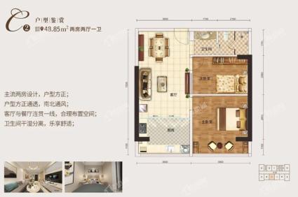 C2户型2房2厅1卫48.85㎡