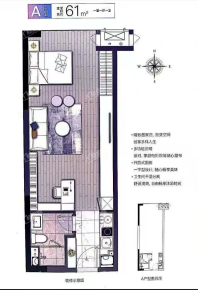 发现岛二期 精装公寓 A户型 61平米