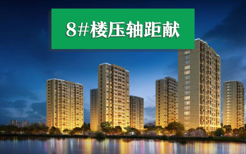 海宁中天江南公馆高清图