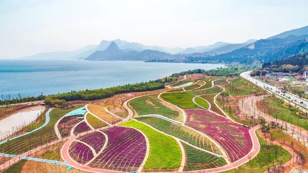 抚海湾湿地公园施工进度实景