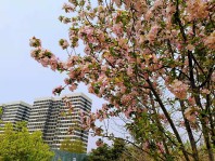 永清亦时空项目实景图