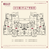 18号楼1单元户型