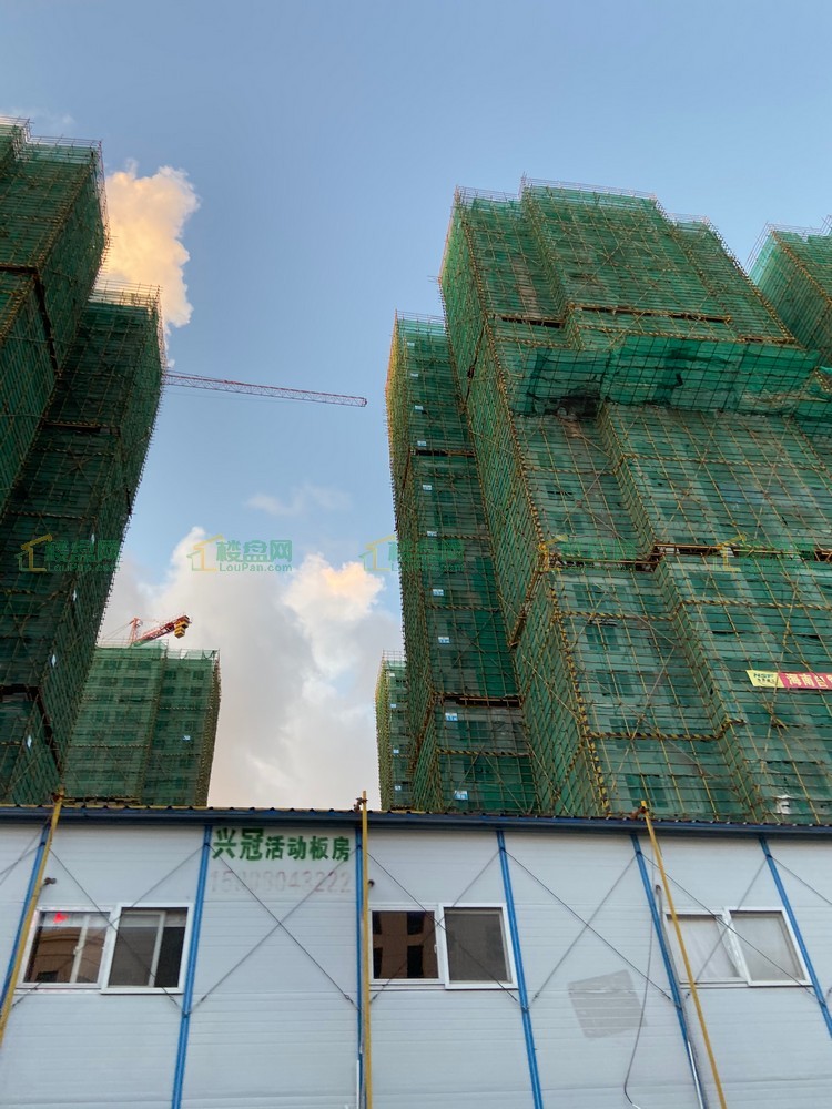 2021年7月5日海垦金湖一号实景图