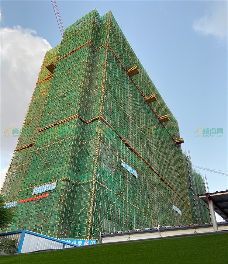 2021年7月5日海垦金湖一号实景图