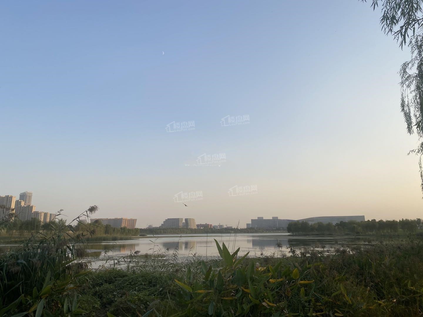 龙湖光年新界实景图