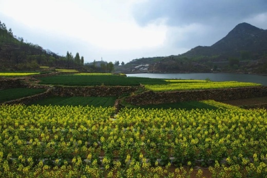 绿地溪山境配套图