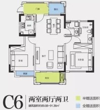 思念果岭国际社区C6户型