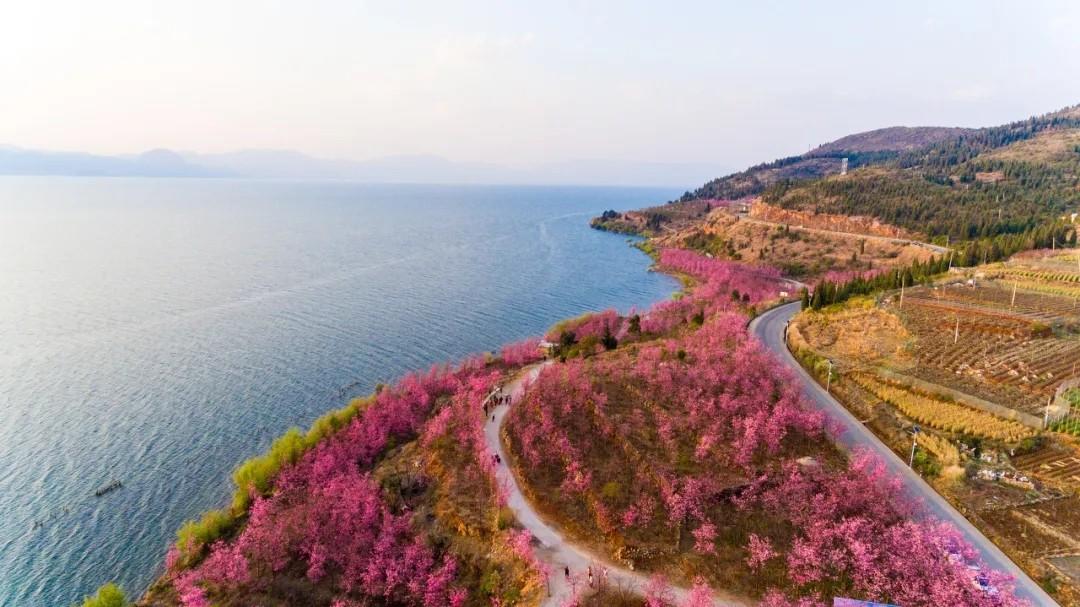 抚仙湖广龙小镇配套实景图