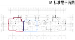 苏地2021-WG-41号地块项目 #1幢户型设计