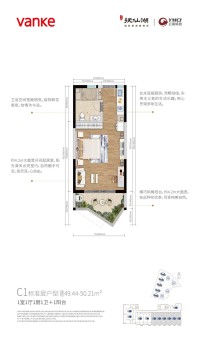 万科抚仙湖国际度假小镇度假屋C1户型图