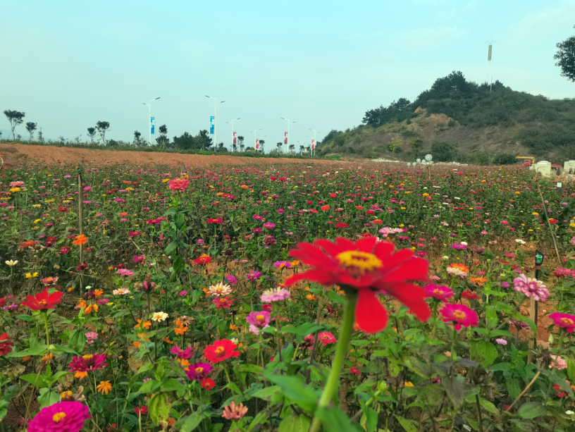 九江欢乐湾小镇相册_实景图-九江楼盘网