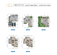 铂悦翡翠澜庭合院C户型