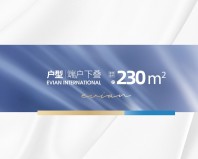 招商依云国际社区合院230㎡户型