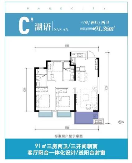 大华公园天下三期C户型