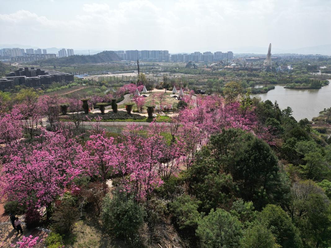 七彩云南古滇名城实景图