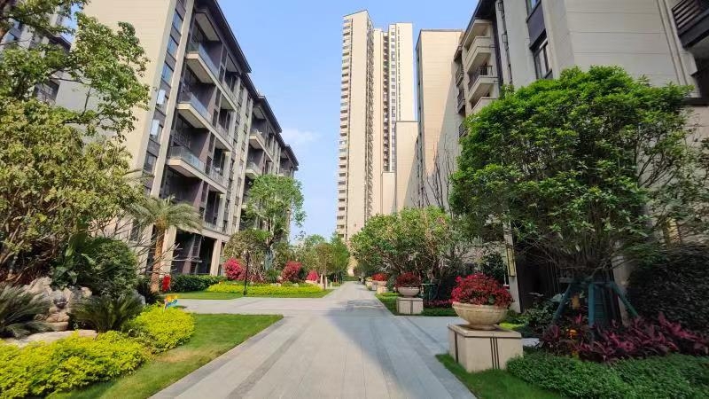 贵港彰泰红高清图