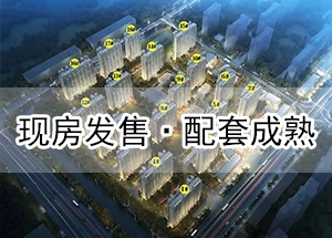 大厂东方丽城高清图