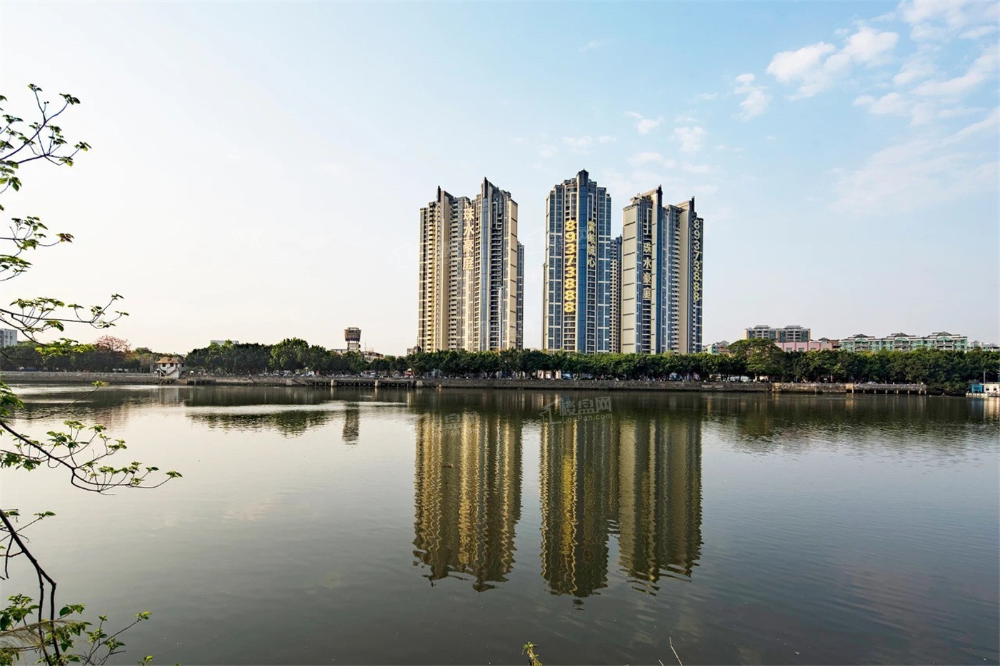实景图