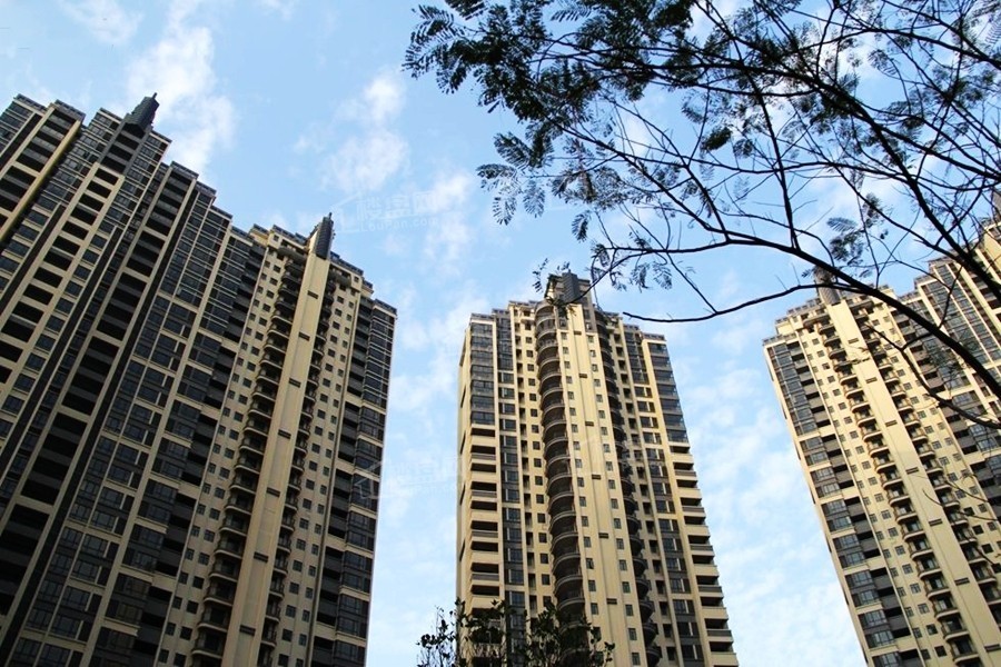 实景图
