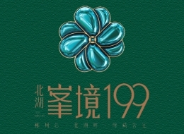 郴州北湖·峯境199高清图