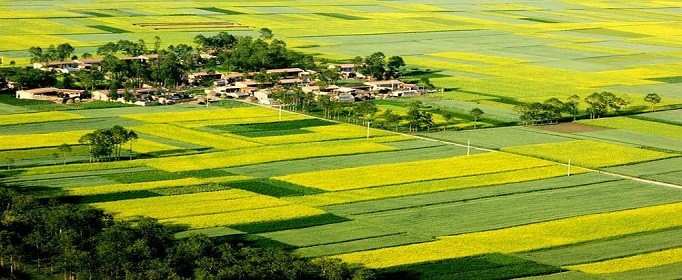 农村集体土地使用权转让需要具备什么条件