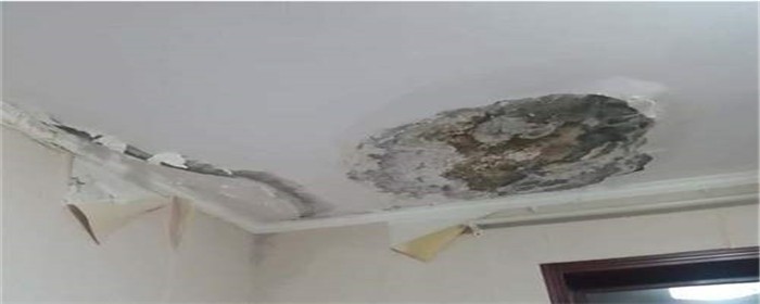 房顶漏水可以用防水布吗
