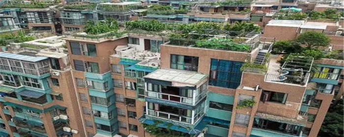 楼顶违建已经入住的怎么处理