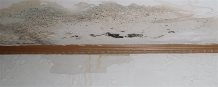 天花板漏水怎么修复