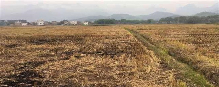 土地流转能建房屋吗