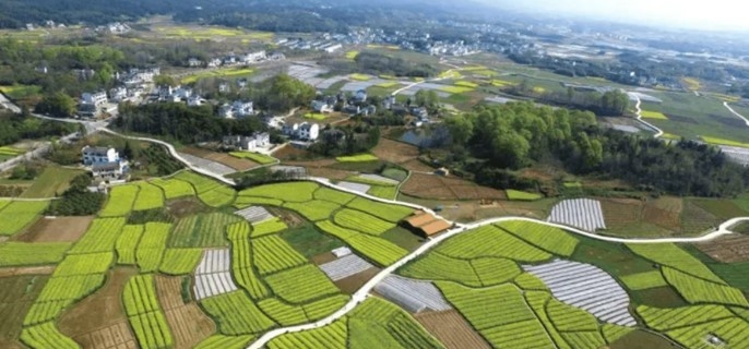 宅基地扩建房屋是否需要取得批准