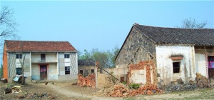 农村可以拆旧房建新房吗