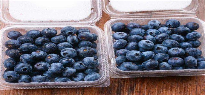 蓝莓需要放冰箱吗