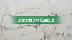 房顶发霉怎样彻底处理