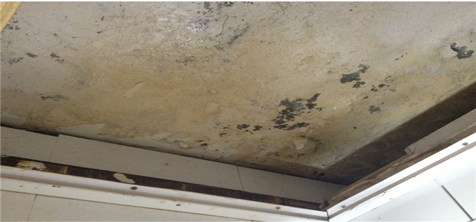 卫生间防水没做好墙面掉皮怎么办