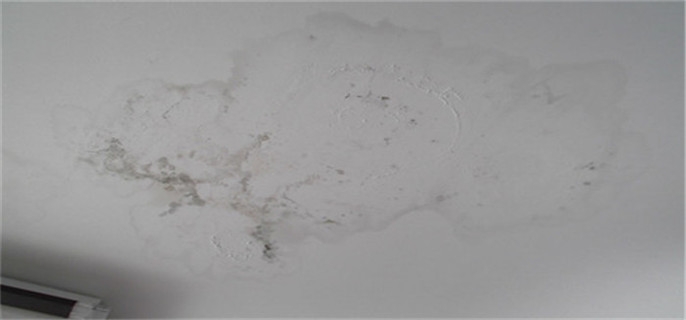 卫生间防水没做好楼下漏水怎么办