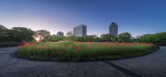 卫生间顶上漏水怎么办