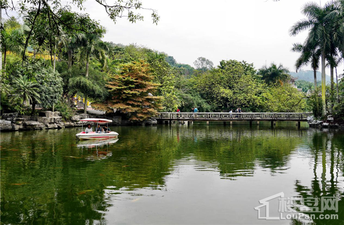 要看位于青山国宾区的山居江景美宅——新希望 · 大唐 · 锦悦青山!