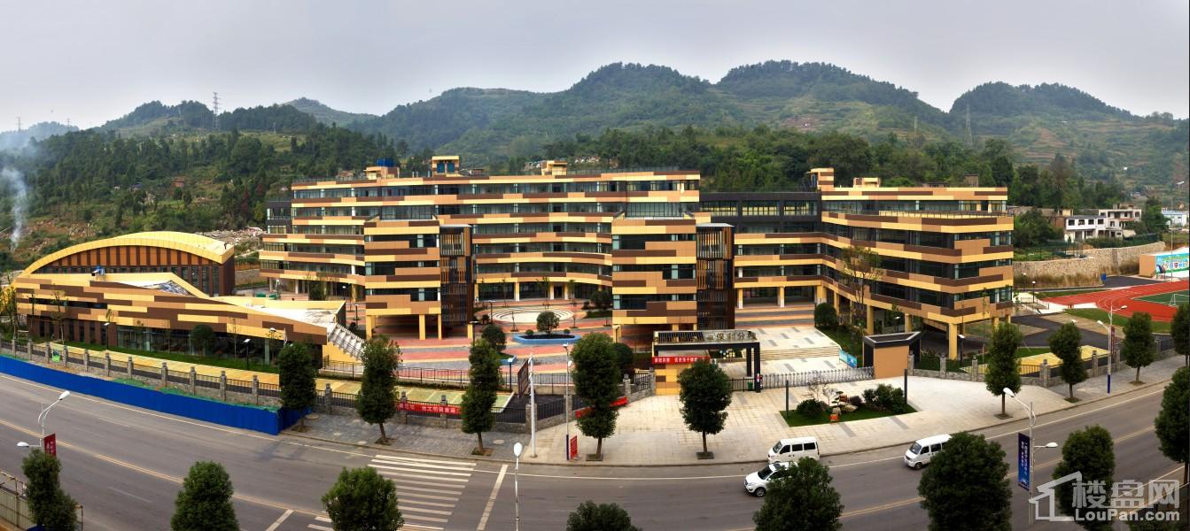 保利返乡置业丨曾经为梦出发,此刻为爱回家-遵义楼盘网