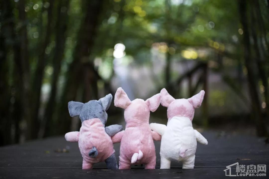 与孩子们一同参与小飞猪活动 击中5个小猪以上 即可领取梦想幸运福猪