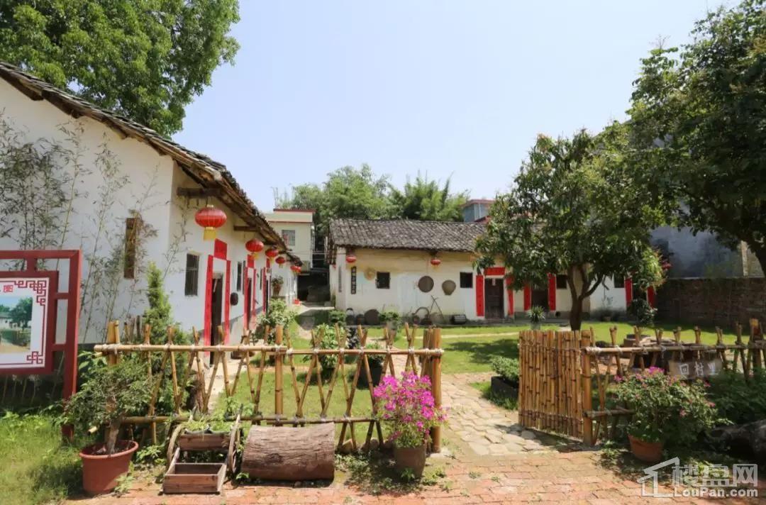 翁源碧桂园 | 村里要举办一场春晚,他们准备上央视?-韶关楼盘网