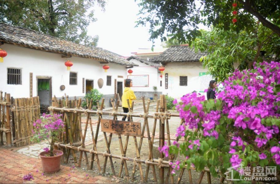 翁源碧桂园 | 村里要举办一场春晚,他们准备上央视?-韶关楼盘网