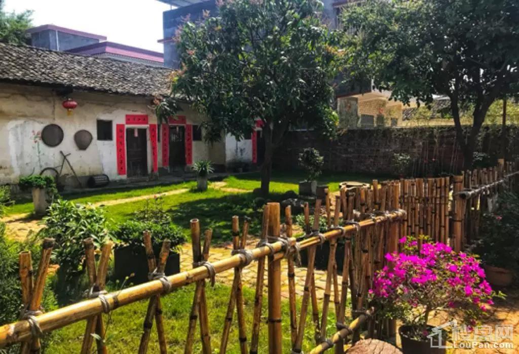 翁源碧桂园 | 村里要举办一场春晚,他们准备上央视?-韶关楼盘网