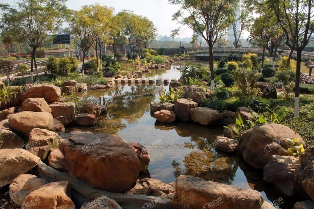 沙湖绿洲 | 让你感受生活的美好-韶关楼盘网