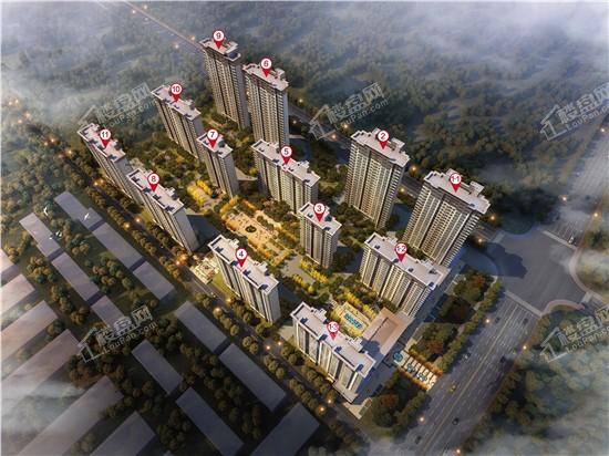 淄博塑化行业的最新发展动态
