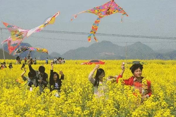 "相约趣味"风筝节,3月23日-24日碧桂园·生态城精彩汇总表!