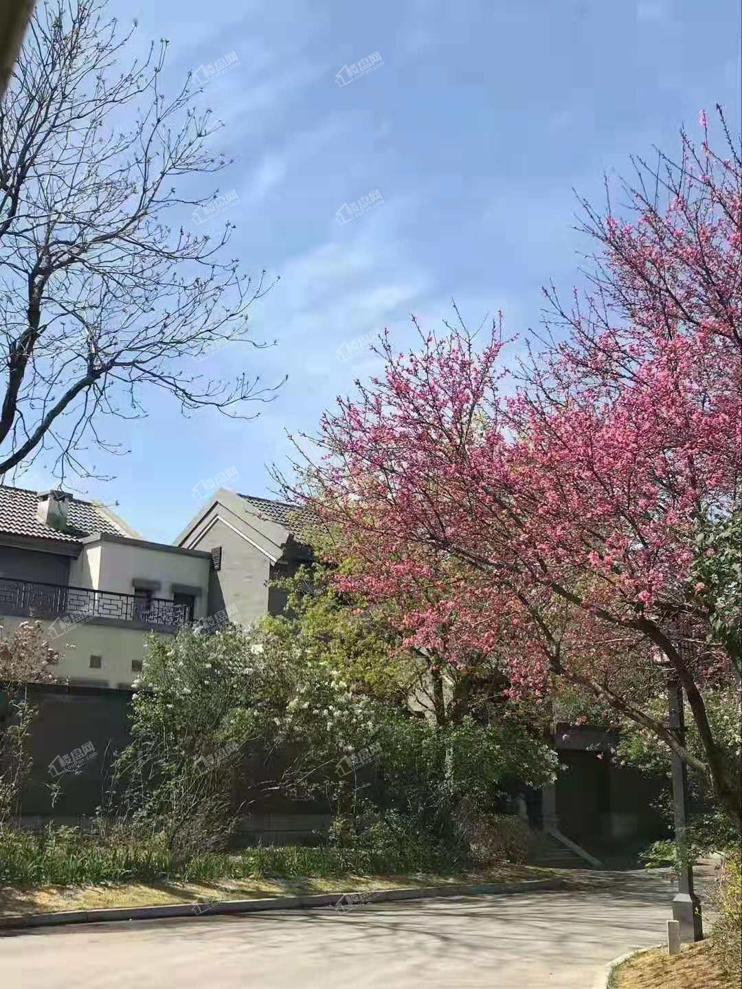 北京院子中式别墅?