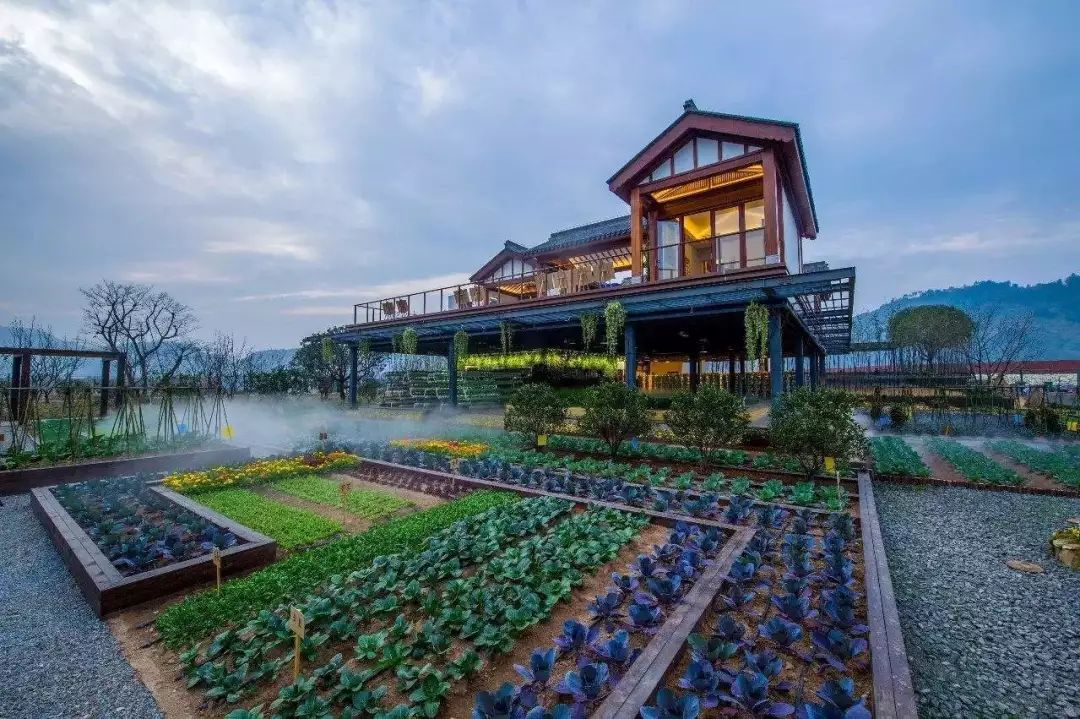 美好,与生活同行丨蓝城小镇的内生优势与外链接口