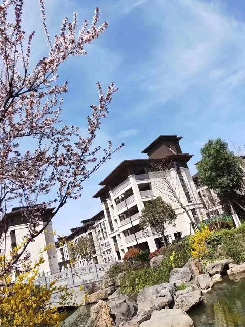 西峡县楼盘 > 西峡财富·新城蕴含无限朝气和希望 财富新城·财富公馆