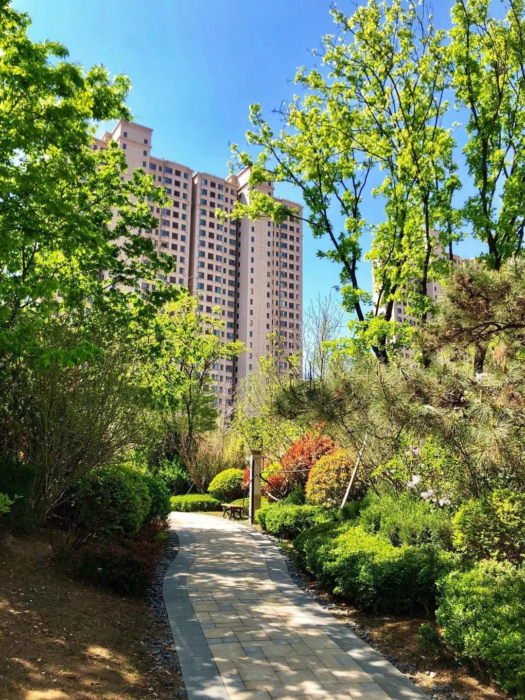 泰安五矿万境水岸三期