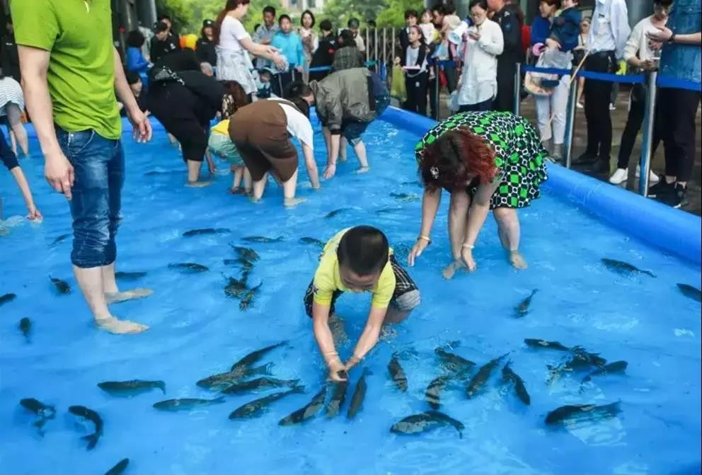 体验一场徒手捕鱼的乐趣 活动地点:英伦庄园售楼部 参与条件:现场